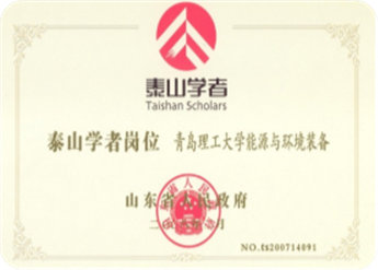 泰山学者岗位